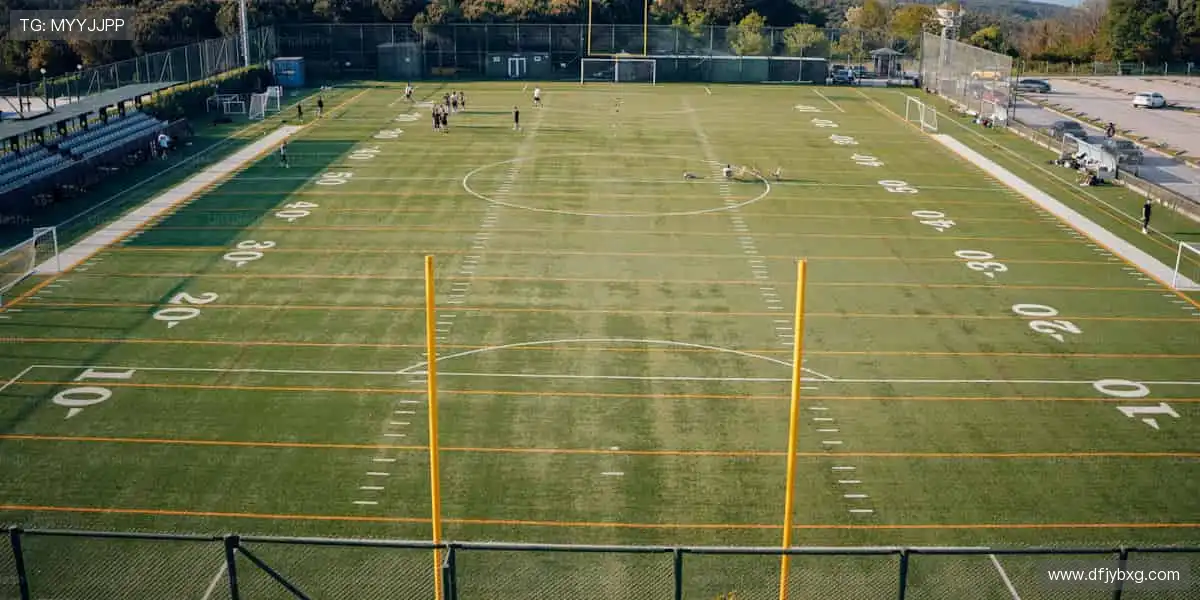 📱多屏同步,随时随地捕捉精彩瞬间!📻